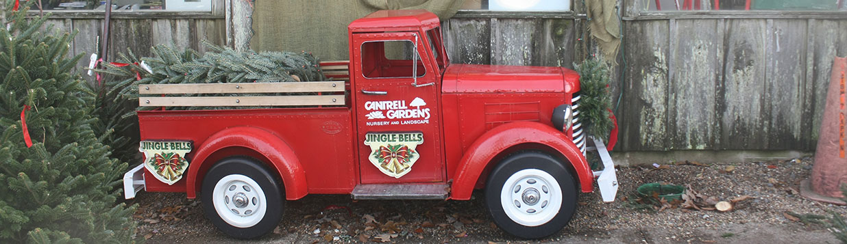 Cantrell Gardens Truck